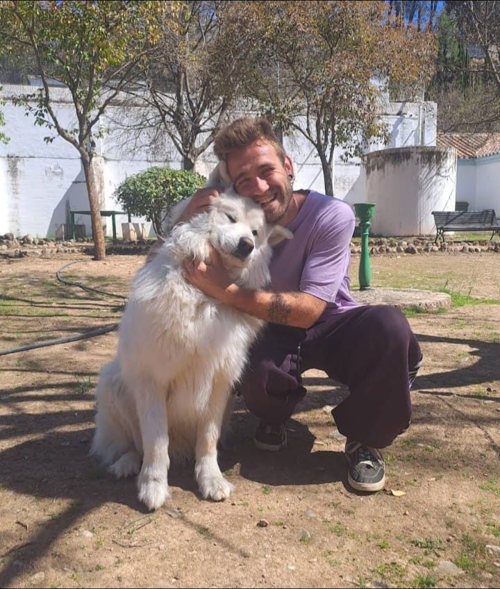Educador canino con un perro grande