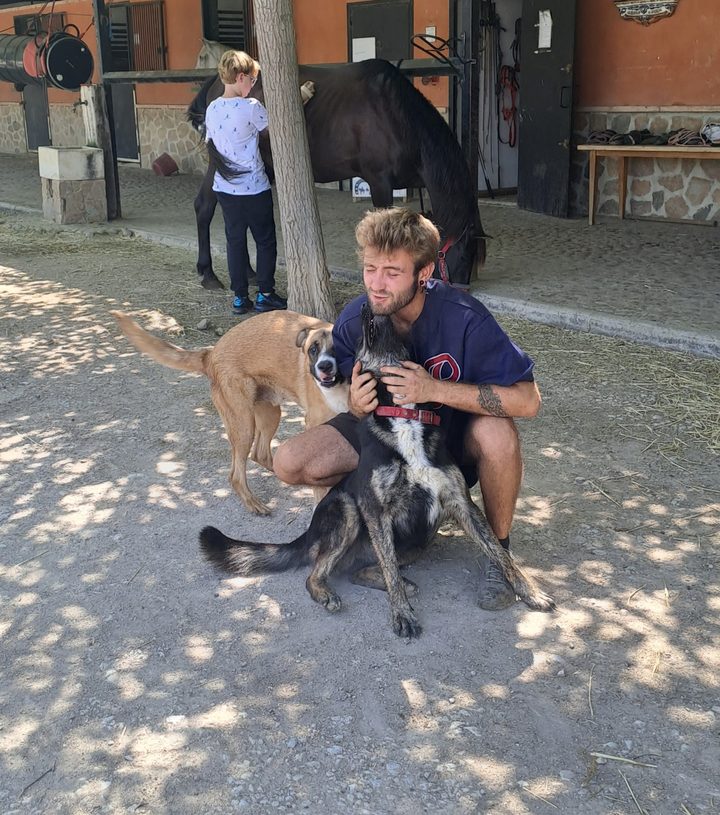 José con perros y un caballo, experiencia previa con animales