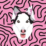 Logo Samsara Canina