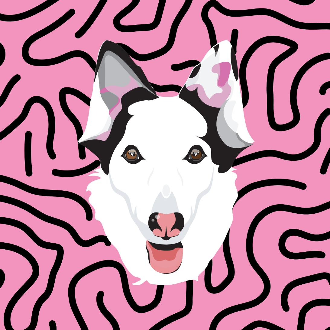 Samsara, la perrita que inspira este proyecto