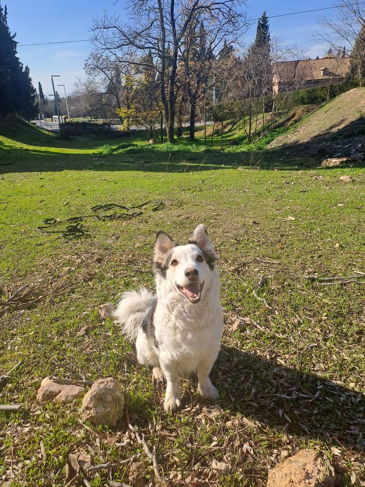 Samsara sonriente en un parque de Granada